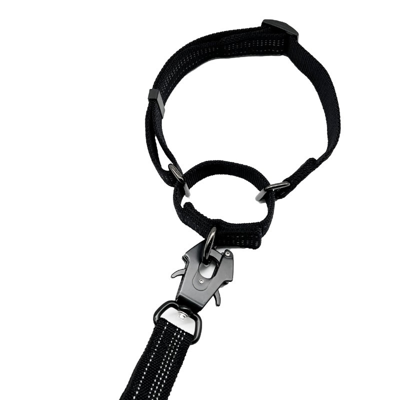 dog collar and leash dog collar and leash