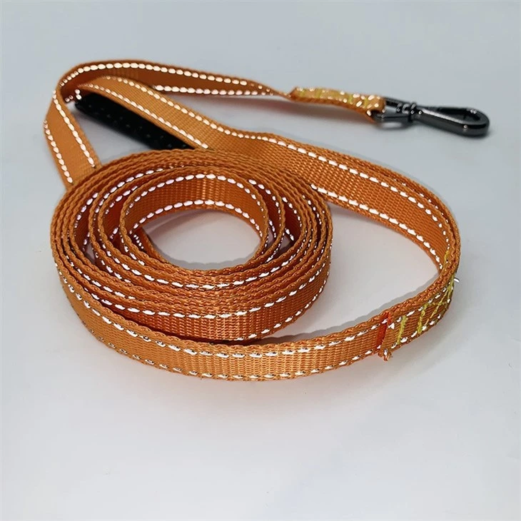 Outdoor Dog Leash
